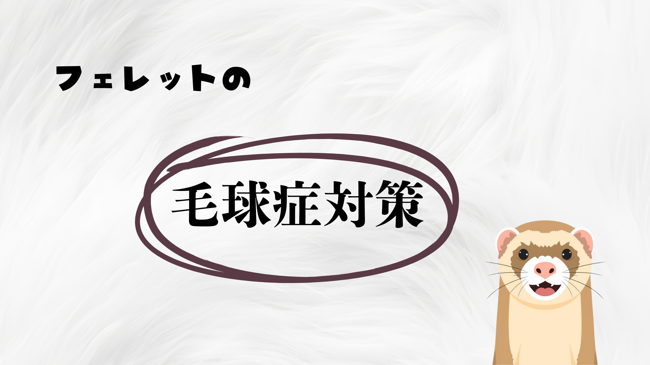 フェレットの呼吸がおかしいと感じたとき