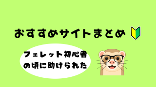 フェレット初心者の頃に助けられたおすすめサイトまとめ