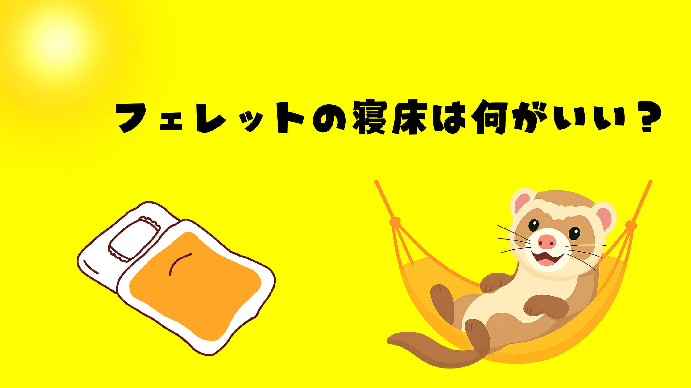 フェレットの寝床は何がいい？ハンモックと毛布を使って分かったこと