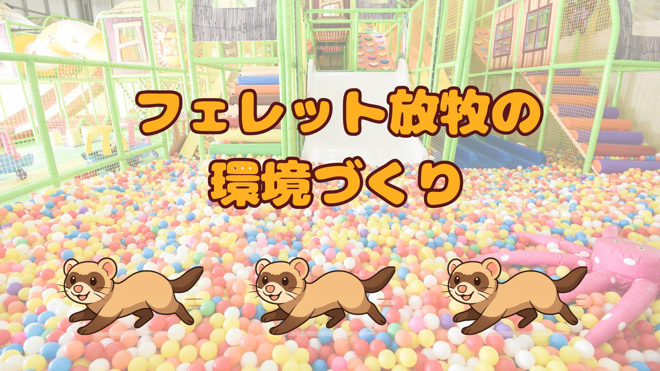 フェレット放牧の環境づくり