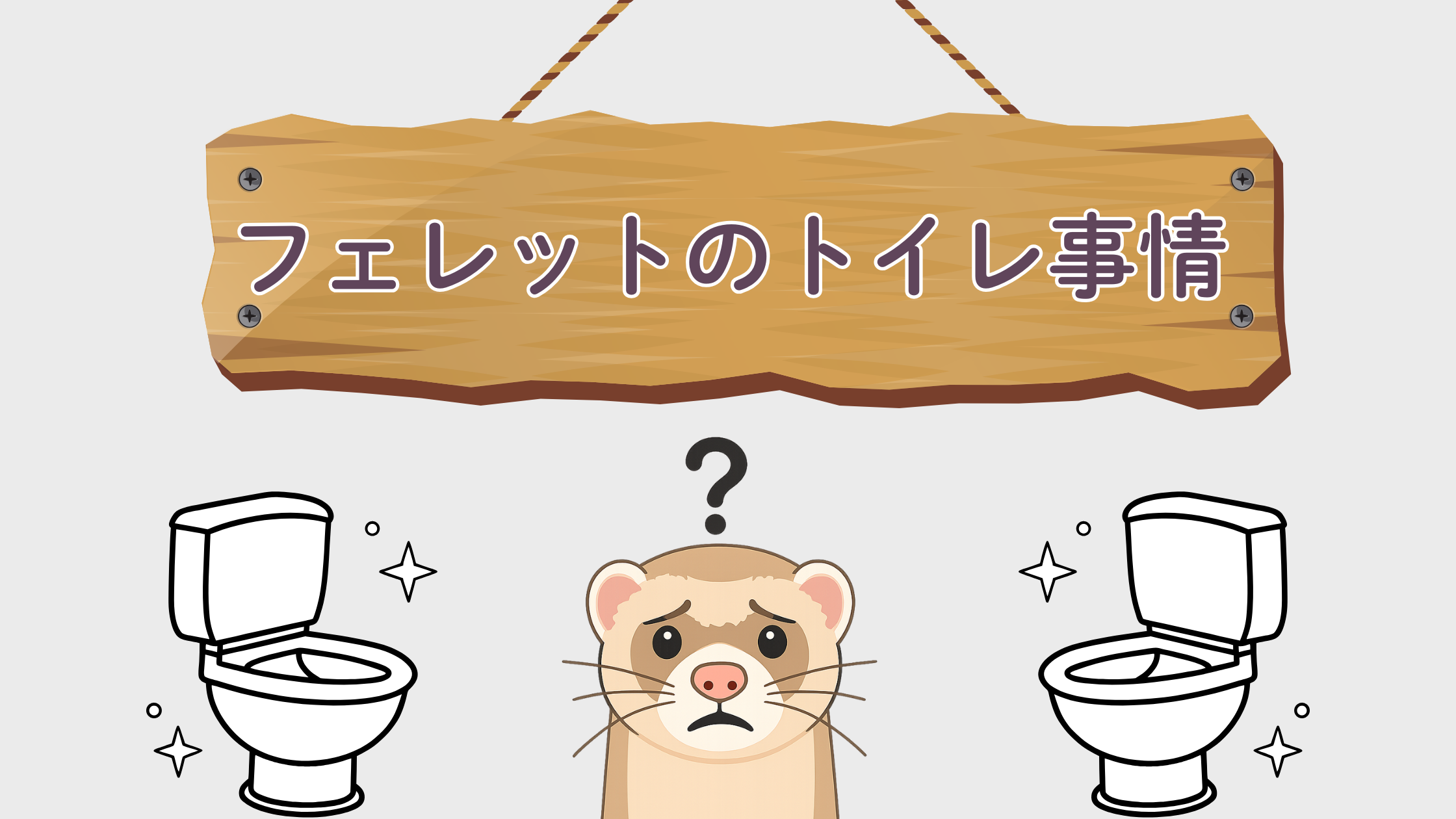 フェレットのトイレ事情