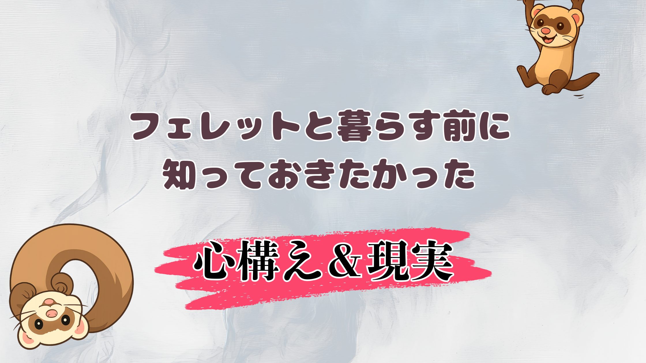 フェレットと暮らす前に知っておきたかった心構えと現実