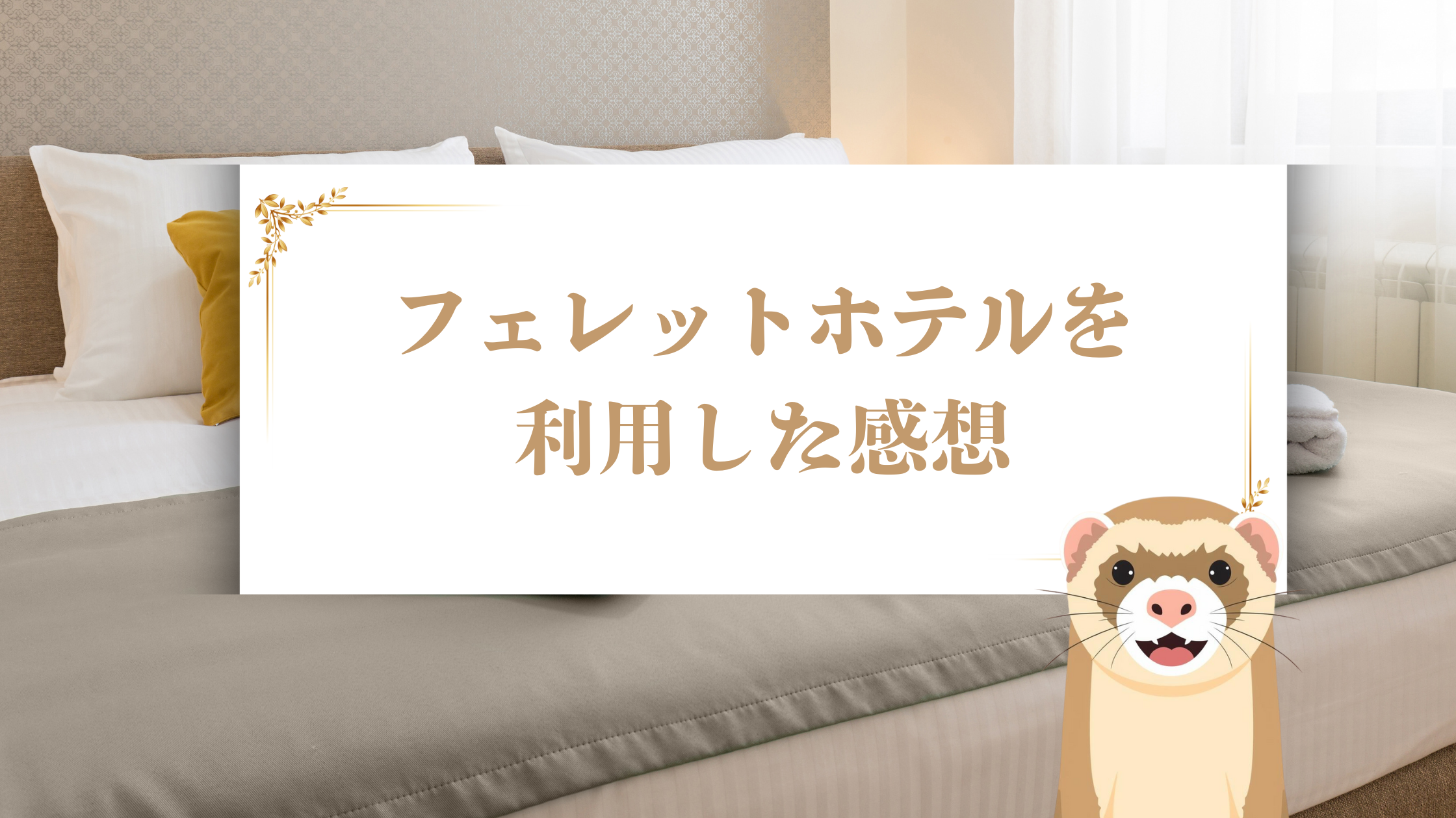 フェレットワールドのフェレットホテルを利用した感想