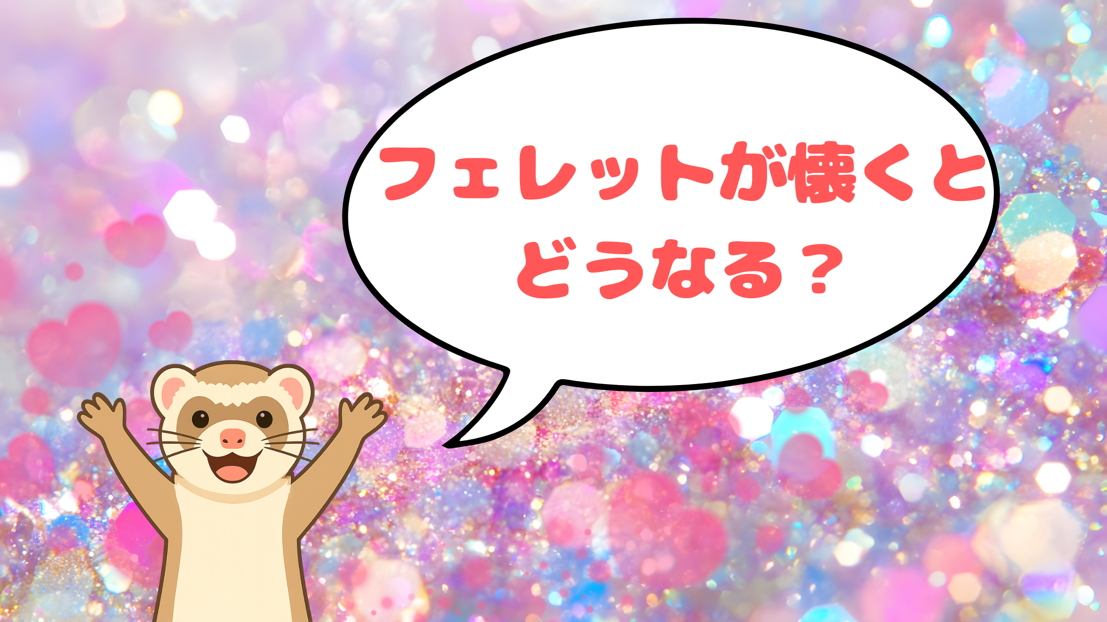 フェレットが懐くとどうなる？一緒に暮らして分かった行動の変化